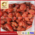 Delicious Sweet Fruit Dried Strawberry